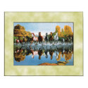 Wild horses running through water posters