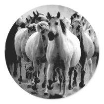 Wild Horses stickers