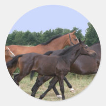 Wild Horses Sticker