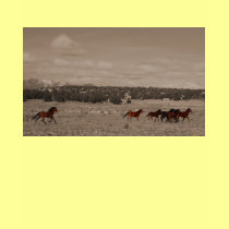 Wild Horses T-Shirt