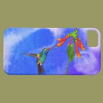Wild Hummingbird Bird-lover's Art Series casemate cases