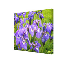 Wild Iris Gallery Wrapped Canvas