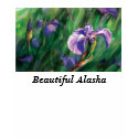 Wild Iris Ladies Tee t-shirts