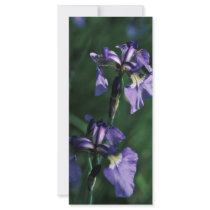 Wild Iris rack cards