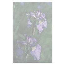Wild Iris stationery