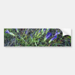Wild Irises, Wyoming Pink flowers Bumper Sticker