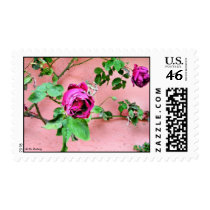 Wild Irish Rose Postage