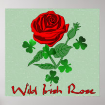 Wild Irish Rose Poster