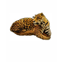 Wild Jaguar T-shirt by elenaind Wild Jaguar T-shirt