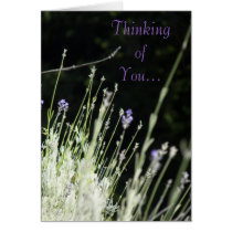 Wild Lavender cards by PointofviewbyLou Wild Lavender cards