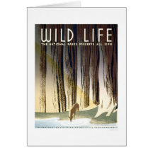 Wild Life National Park 1940 WPA Greeting Cards
