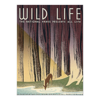Save wild life essay