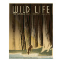 Wild life The national parks preserve all life posters by MyOtherPlanet Wild life The national parks preserve all life posters