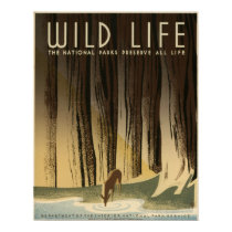 Wild life The national parks preserve all life posters