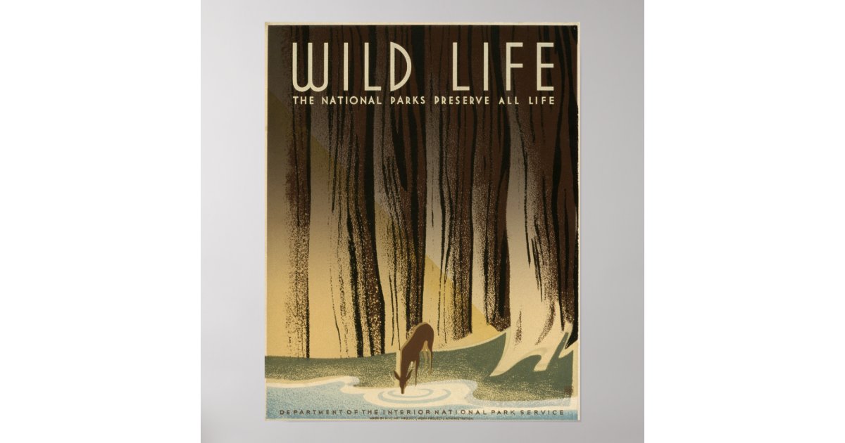 Save wild life essay