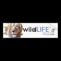 wild lifes lion bumper stickers