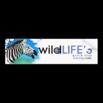 wild lifes zebra bumper stickers