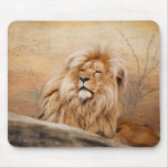 Wild Lion Use Pad Wild Lion Use Pad