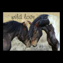WILD LOVE HORSES posters