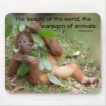 Wild Man of Borneo mousepads