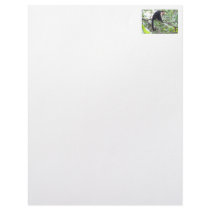 Wild Monkey Picture Custom Letterhead