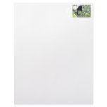 Wild Monkey Picture Custom Letterhead