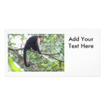 Wild Monkey Picture Personalized Photo Card