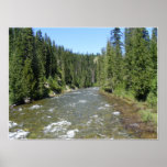 Wild Montana River Poster