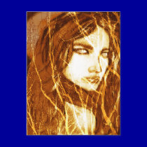 WILD moon series postcards
