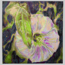 Wild Morning Glory by Alexandra Cook american mojo napkins