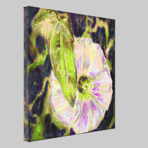 Wild Morning Glory by Alexandra Cook canvas prints