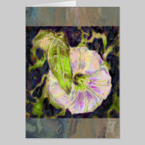 Wild Morning Glory by Alexandra Cook cards
