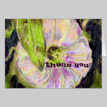 Wild Morning Glory by Alexandra Cook cards