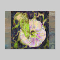 Wild Morning Glory by Alexandra Cook postcards
