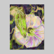 Wild Morning Glory by Alexandra Cook postcards