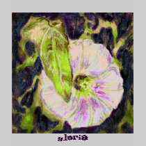 Wild Morning Glory by Alexandra Cook t-shirts