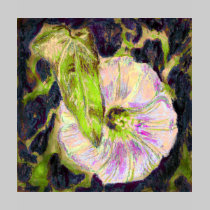 Wild Morning Glory by Alexandra Cook t-shirts