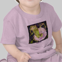 Wild Morning Glory by Alexandra Cook t-shirts