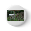 Wild Mushroom buttons