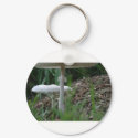 Wild Mushroom keychains