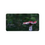 Wild Mushroom Labels