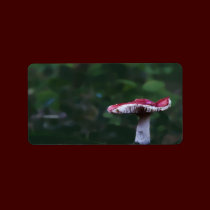 Wild Mushroom Labels labels