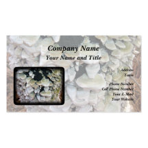 Wild Mushrooms on Decomposing Tree Business Card Template