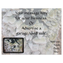 Wild Mushrooms on Decomposing Tree Full Color Flyer