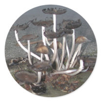 Wild Mushrooms stickers by Janz_Art Wild Mushrooms stickers