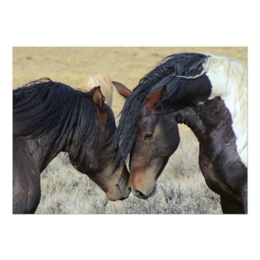 Wild Mustang Horses Wedding Invitations