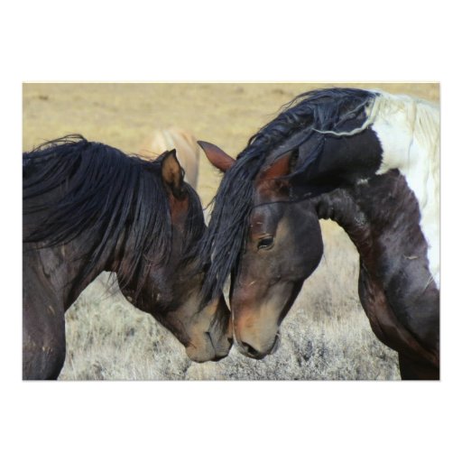 Wild Mustang Horses Wedding Invitations