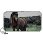 Wild Mustang Portable Speakers