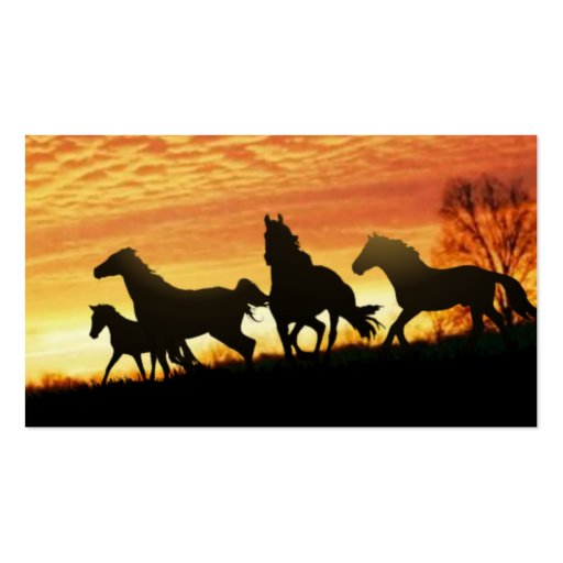 Wild Mustangs Business Card Templates (back side)