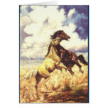 Wild Mustangs Card Wild Mustangs Card